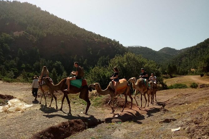 Full-Day Excursion to 3 Valleys From Marrakech Marrakech
