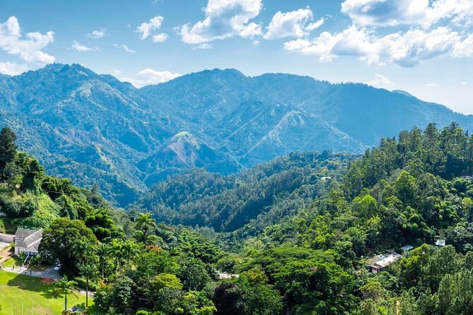 Full-Day Kingston and Blue Mountains Private Guided Tour