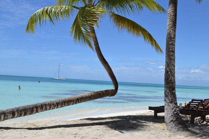 Full-Day Private Motorboat Adventure to Isla Saona –All-Inclusive