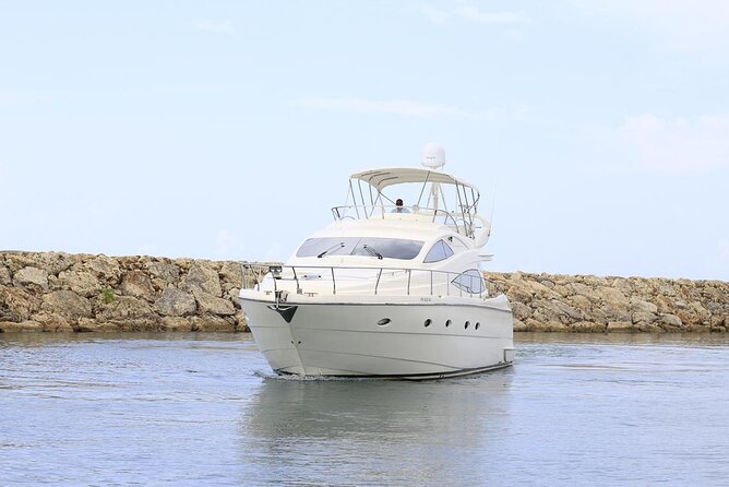 Full-Day Private Yacht Cruise in Saona Island With Lunch - Overview of Saona Island Cruise