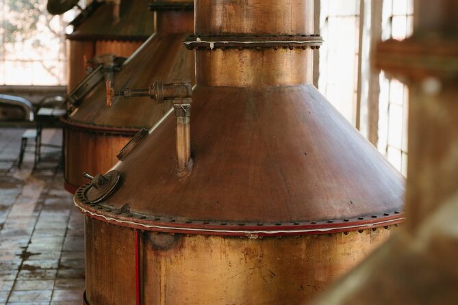 Full-Day Tour in Tequila Factory and Cantaritos El Gúero
