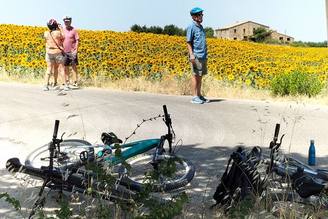 Glasses of Stars - Bicycle Tour With Insights