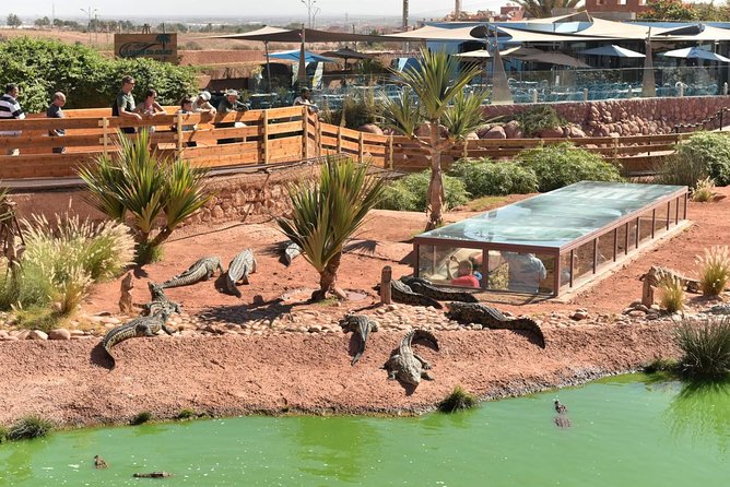 Goat on Trees & Crocodile Park Including Tickets and Hotel Pickup - Tour Overview
