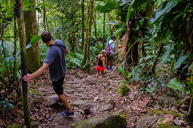 Gros Piton Hike in St. Lucia (Private)