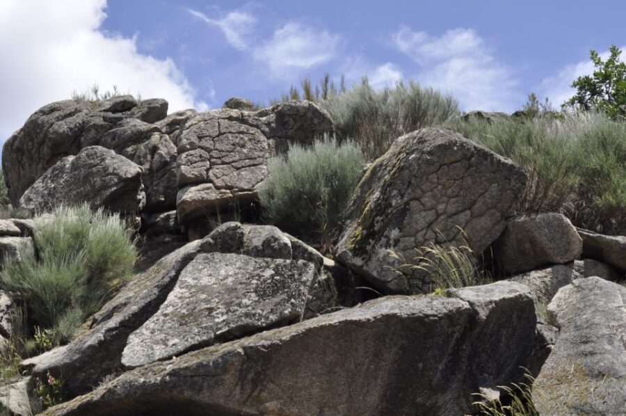 Guarda Nature Walk: Mondego Walkways Tales