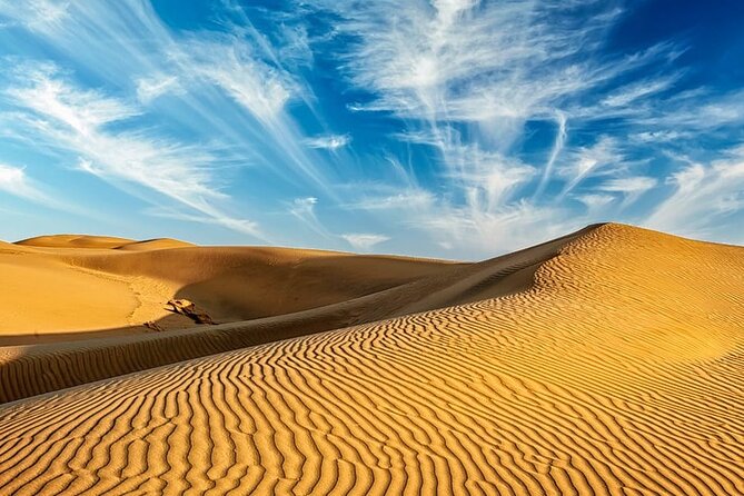 Guided Jaisalmer City Tour With Drop Off at Mount Abu