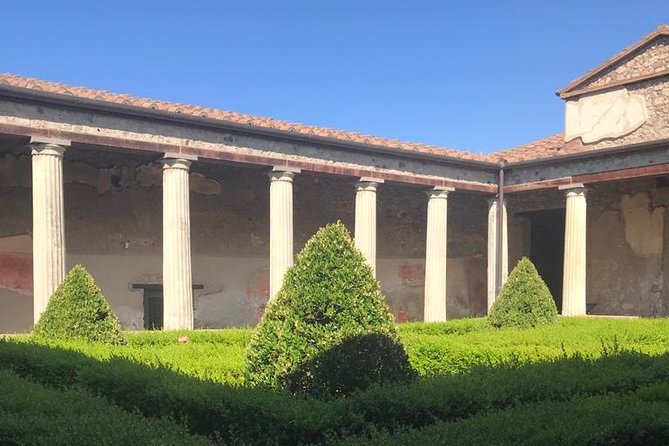 Guided Tour of the Pompeii Excavations From the Amalfi Coast - Inclusions