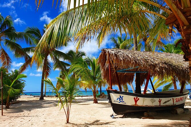 Guided Tour to Saona Island From Punta Cana - Inclusions and Amenities