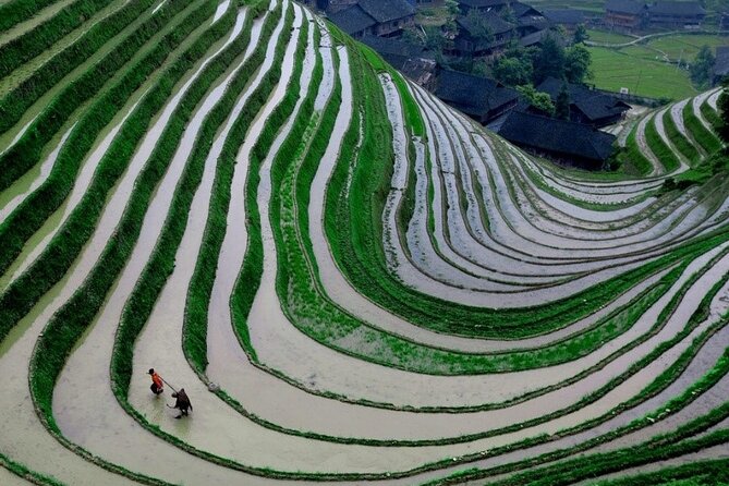 Guilin Day Trip: Dragons Backbone Rice Terraces & Pingan Zhuang Ethnic Village