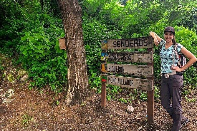 Half Day Birdwatching in Cerro Blanco From Guayaquil