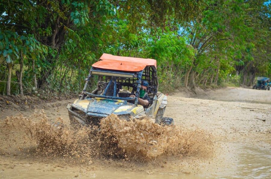 Half-Day Buggie Adventure, Macao Beach and Cave - Activity Overview