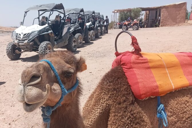 Half Day Buggy Bike in Agafay Desert From Marrakesh