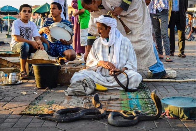 Half-Day Guided Tour: Monuments and Souks of Marrakech - Tour Overview