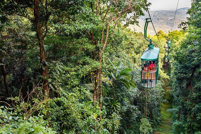 Half-Day Hiking Adventure With Aerial Tram & Zipline in St Lucia