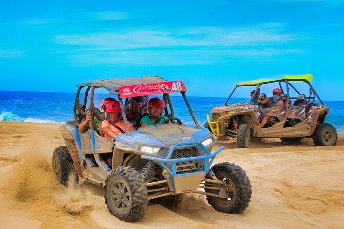 Half-day Wild Desert Polaris Razor UTV Tour