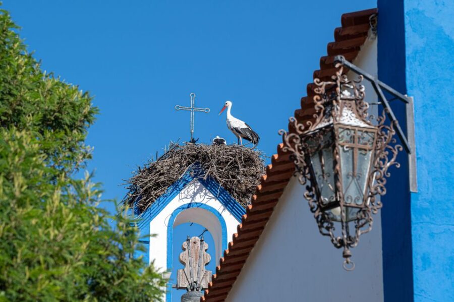 Herdade Da Comporta Reserve Winetasting - Booking Information