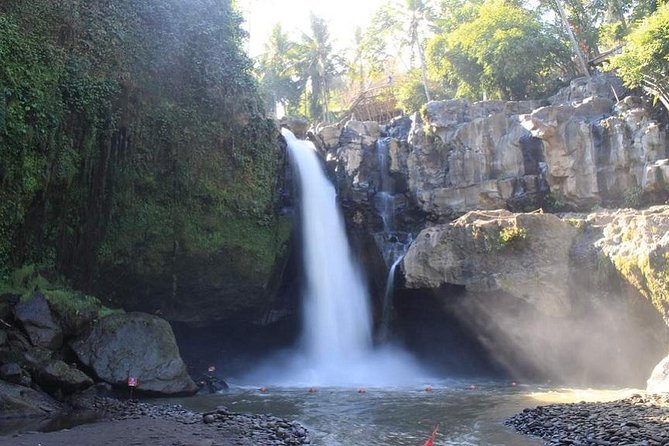 Highlights of Ubud: Nature, Rice Terrace, Waterfall, Temple and More