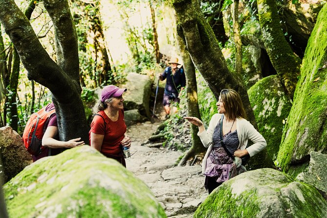 Hike in Sintra: Pena Palace, Moorish Castle, Quinta Da Regaleira - Pricing and Inclusions
