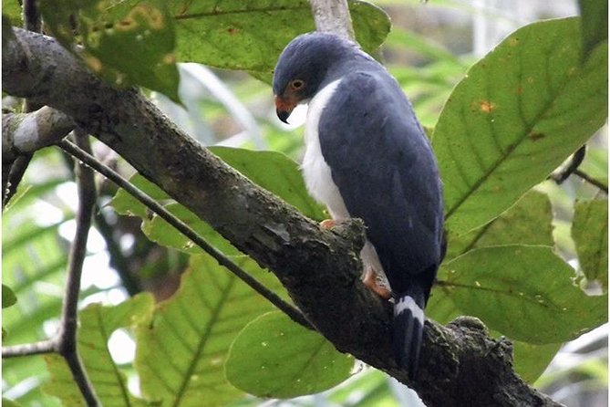 Hike in the Gandoca-Manzanillo Refuge