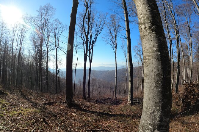 Hiking Medvednica & Medvedgrad Castle
