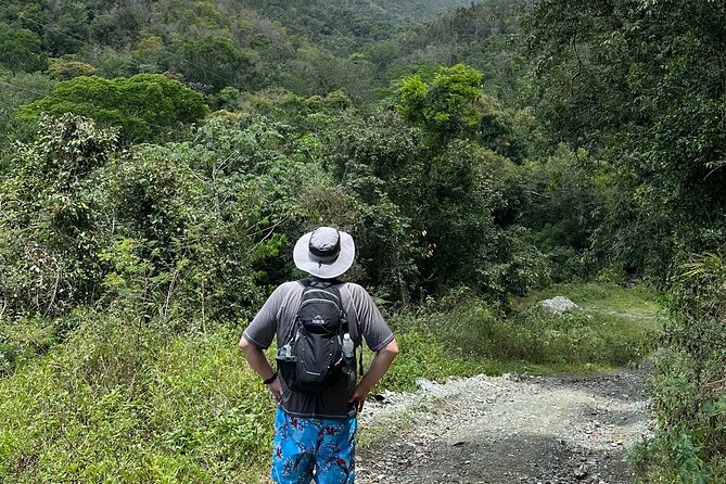 Hiking Tour and Play in Charco El Pilon