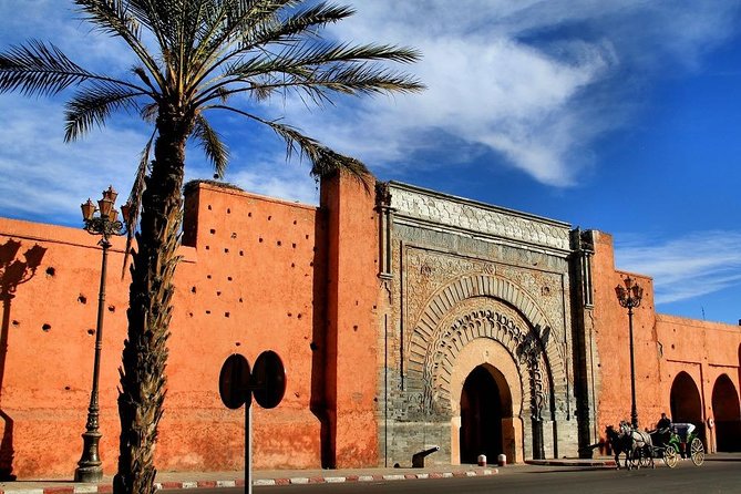 Historical Marrakech Walking Tour - Tour Highlights