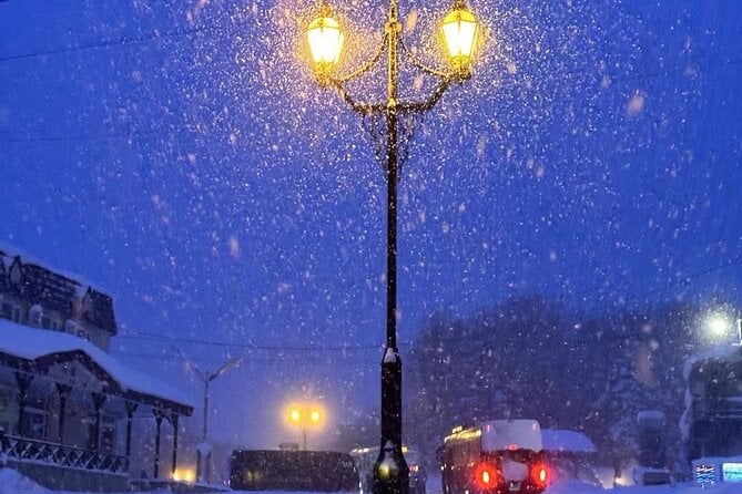 Hokkaido Otaru Private Full Day Tour (Depart From Sapporo)