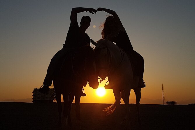 Horse Riding 1-Hour Adventure Trip With Transfer - Hurghada - Inclusions and Amenities