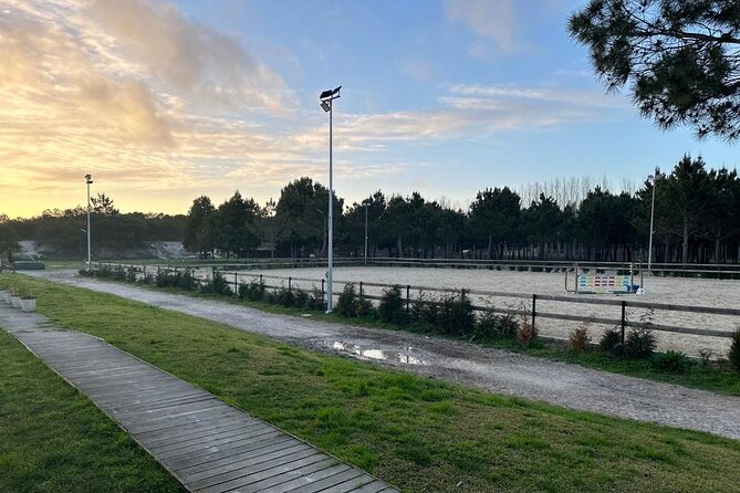 Horse Riding in Aveiro – Ílhavo