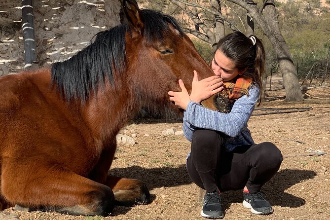 Horseback Expedition to the Andes, 2 Days. Sleep in the Heart of the Mountain.