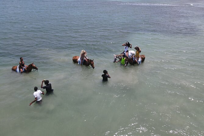 Horseback Ride and Swim in Ocho Rios With Transportation