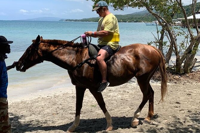 Horseback Ride N Swim With Private Transportation From Montego Bay