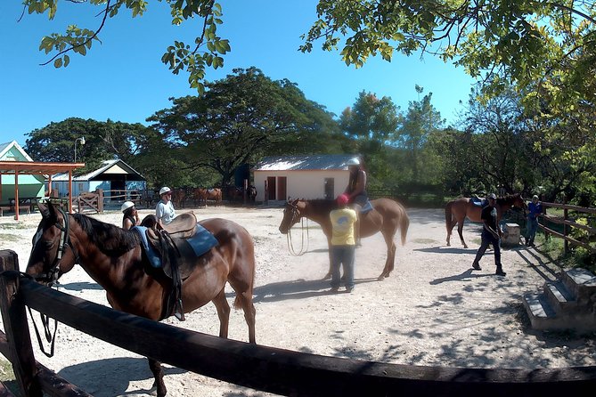 Horseback Ride N Swim - Overview of the Experience