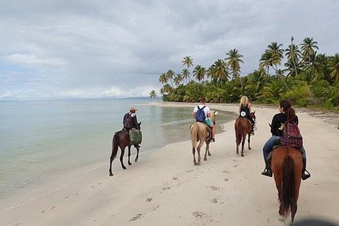 Horseback Riding Along the Beaches of Punta Cana and Macao