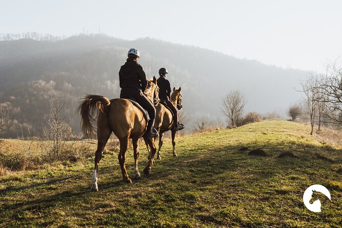 Horseback Riding for Experts Between the Lake and the Mountains - Overview