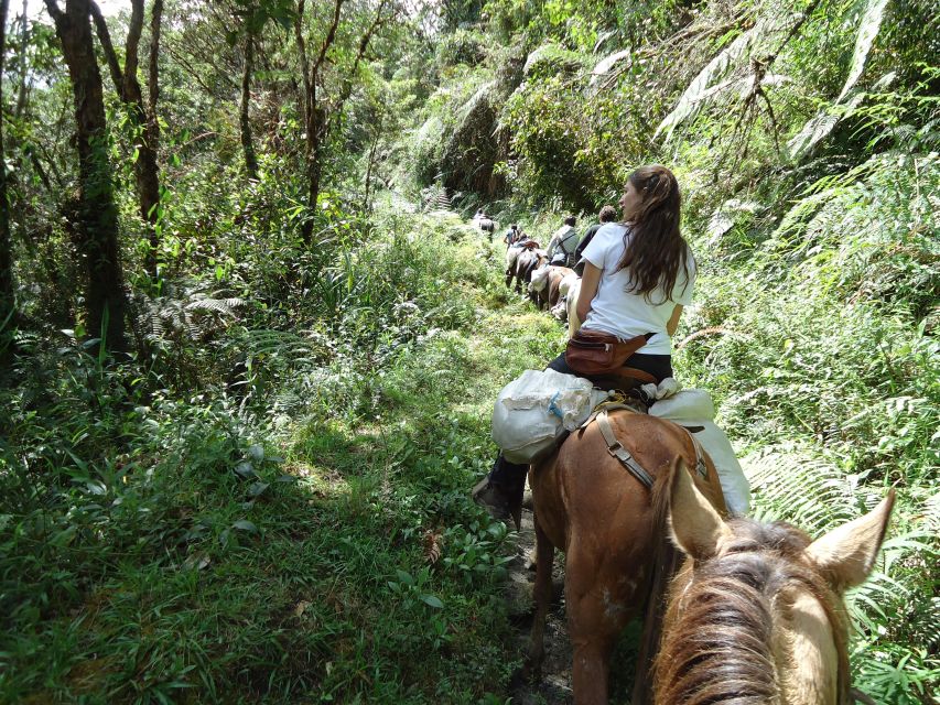 Horseback Riding Tour and Visit to Tablón, Chaquira, Pelota