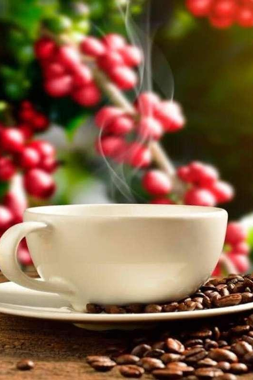 Huayopata Private Coffee Tour