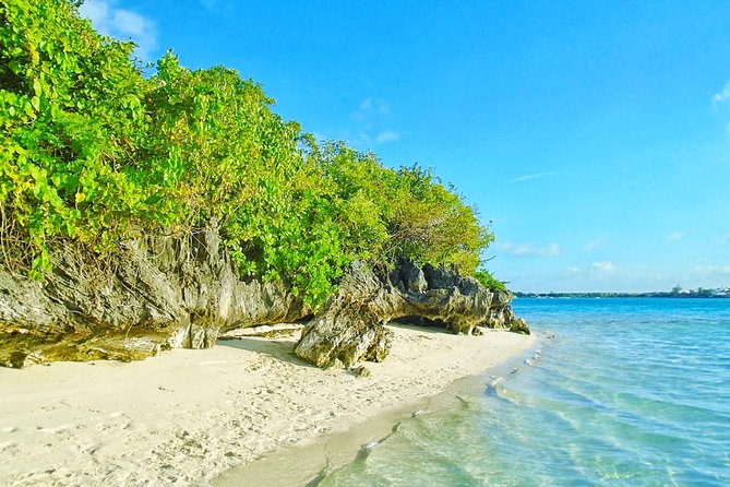 Ile Aux Aigrettes Nature Reserve, Blue Bay Beach, La Vanille Park & Gris Gris