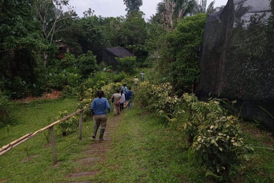 Iquitos: 3-Day San Rafael Community Rainforest Tour