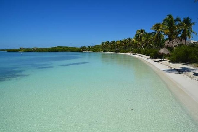 Isla Contoy Hidden Beauty! With Round Transportation From Cancun & Riviera Maya