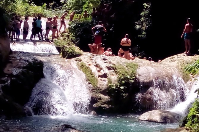 Island Gully Falls And Columbus Park Day Adventure
