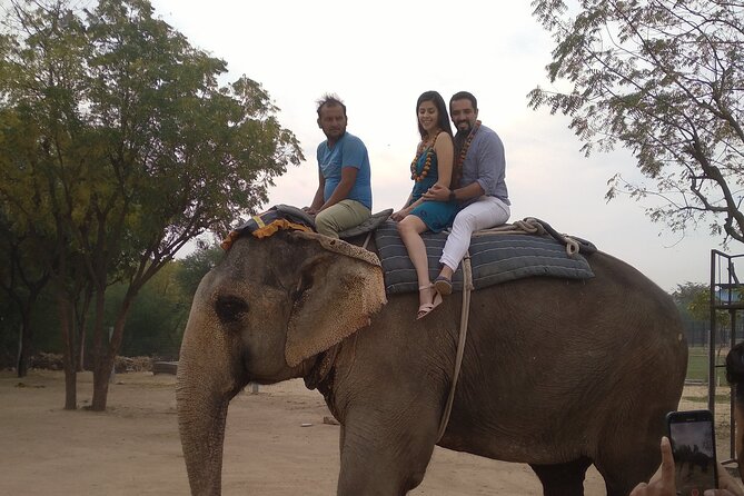 Jaipur Pink City Private Day Trip From Delhi