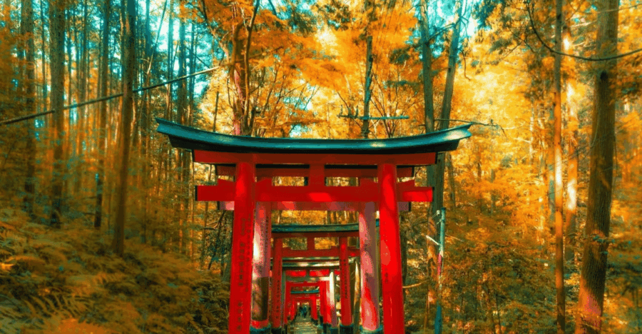 Japan: Private 3, 5, 7, or 10-DAY Tour With Driver