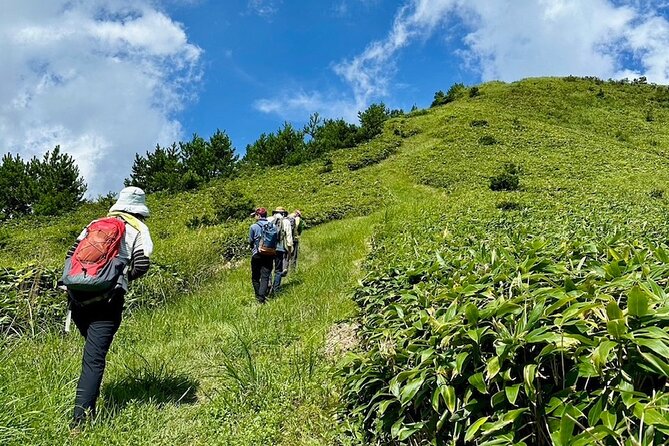 [Japan Wellness] Hiking and Matcha With a Monk in Hiroshima - Tour Overview