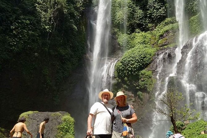 Jatiluwih Rice Terraces,Ulundanu and Sekumpul Waterfall Trips