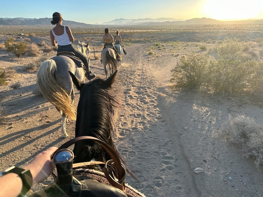 Joshua Tree: Horseback Trail Riding Adventure With a Guide