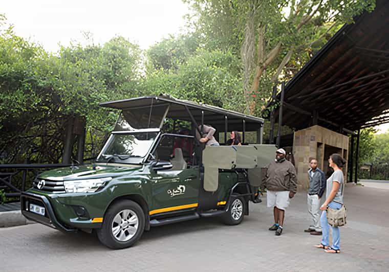 Journey Through Kruger