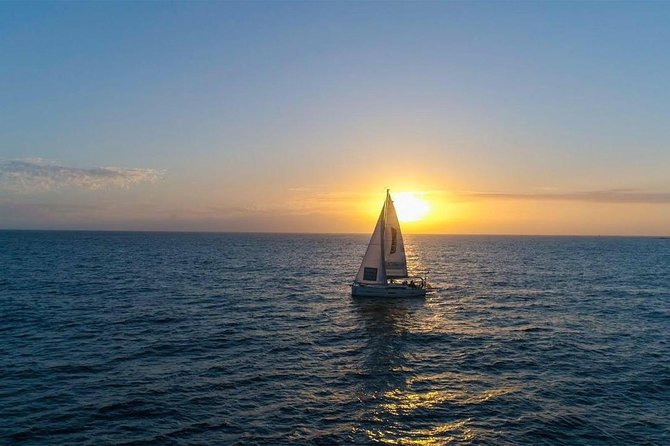 Kailani All Inclusive Private Charter - Whale Watching and Swimming