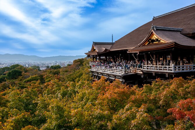 Kyoto Must-Visit Highlights: Private Car Tour