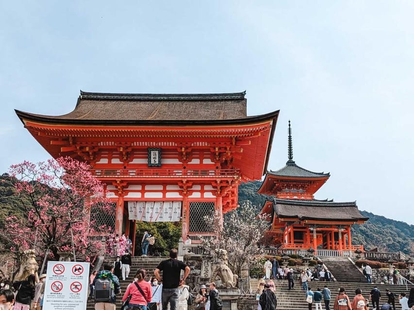Kyoto/Osaka: Kyoto and Nara Sites & History Day Trip
